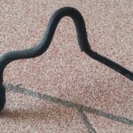 Mercedes-benz Ml 350 Amg 2014 Manguera Depósito Agua Oem