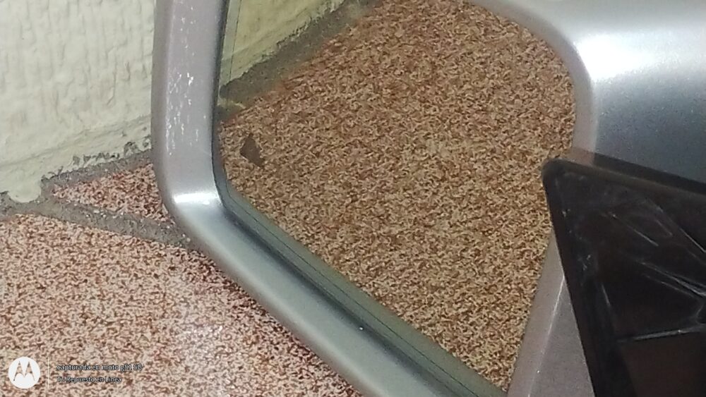 Mercedes Benz Ml 350 Amg Espejo Lateral Izquierdo Con Cámara