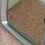 IMG_20250717_143926942 Mercedes Benz Ml 350 Amg Espejo Lateral Izquierdo Con Cámara