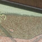 Ford Fusion Titanium 2014 Cristal Puerta Trasera Izq