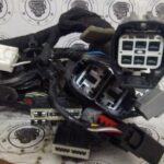 IMG_20251129_155603221_HDR Ford Fusion 2014 Arnés Puerta Izquierda Eg9t-14631 Oem