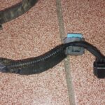 Ford Fusion 2.0l 2014 Arnés Bomba Gasolina Dg9t-14a069-dg