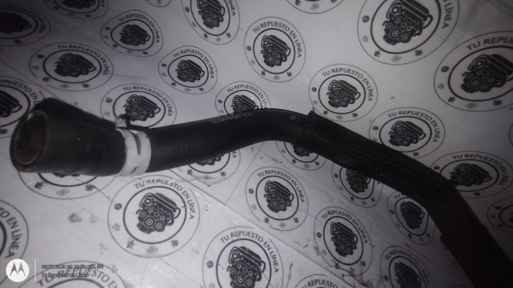 Ford Focus Trend 2.0L 2012-2014 Manguera Adaptador Agua