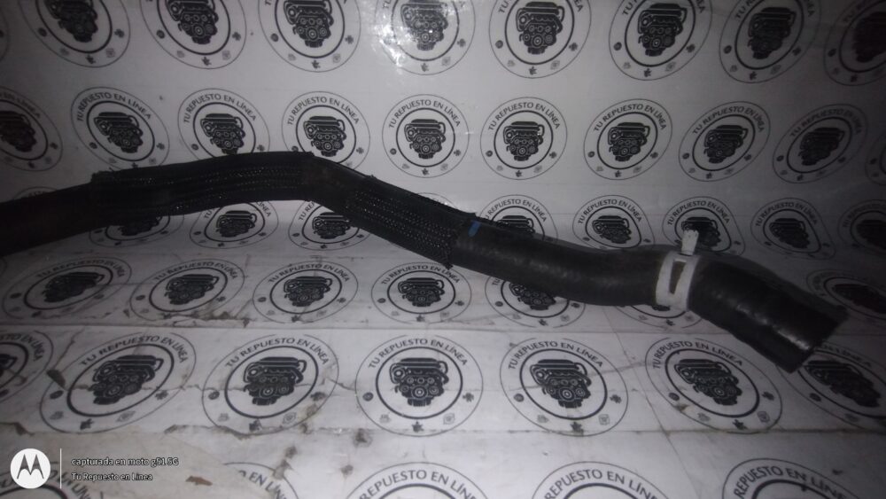 Ford Focus Trend 2.0L 2012-2014 Manguera Adaptador Agua