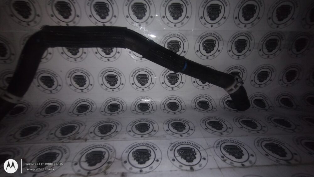 Ford Focus Trend 2.0L 2012-2014 Manguera Adaptador Agua