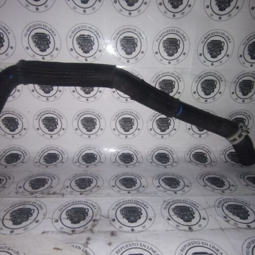 IMG_20250929_225921248 Ford Focus Trend 2.0L 2012-2014 Manguera Adaptador Agua