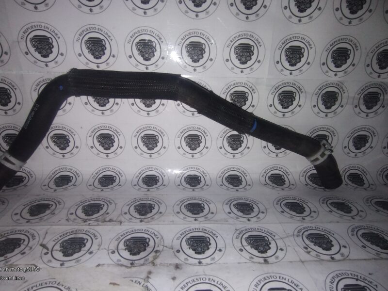 IMG_20250929_225921248 Ford Focus Trend 2.0L 2012-2014 Manguera Adaptador Agua