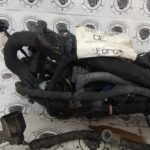 IMG_20251129_153842024 Ford Fusion 2.0L 13-16 Arnés Motor Y Transmisión OEM DU5T-12C508-CE