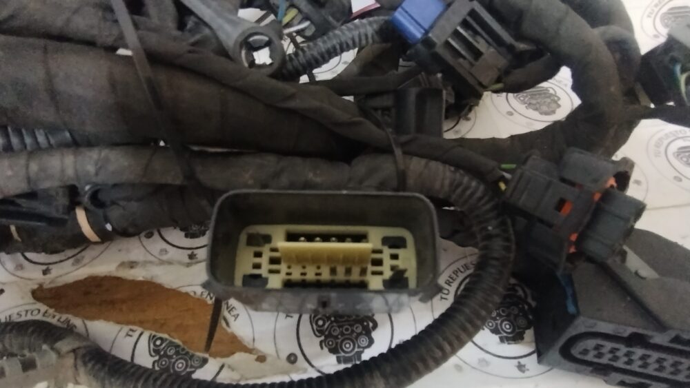 IMG_20251129_153846399 Ford Fusion 2.0L 13-16 Arnés Motor Y Transmisión OEM DU5T-12C508-CE