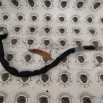 Mercedes-Benz CLA200 2014 Cable Tierra Motor A2465400335 OEM