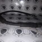 IMG_20250929_222901486 Ford Focus Trend 2012-2015 Manguera Freno Trasera Cm5z2078a