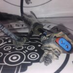 Ford Focus Trend 2012-2015 Sensor Trasero Abs Av6t-2c055-adg